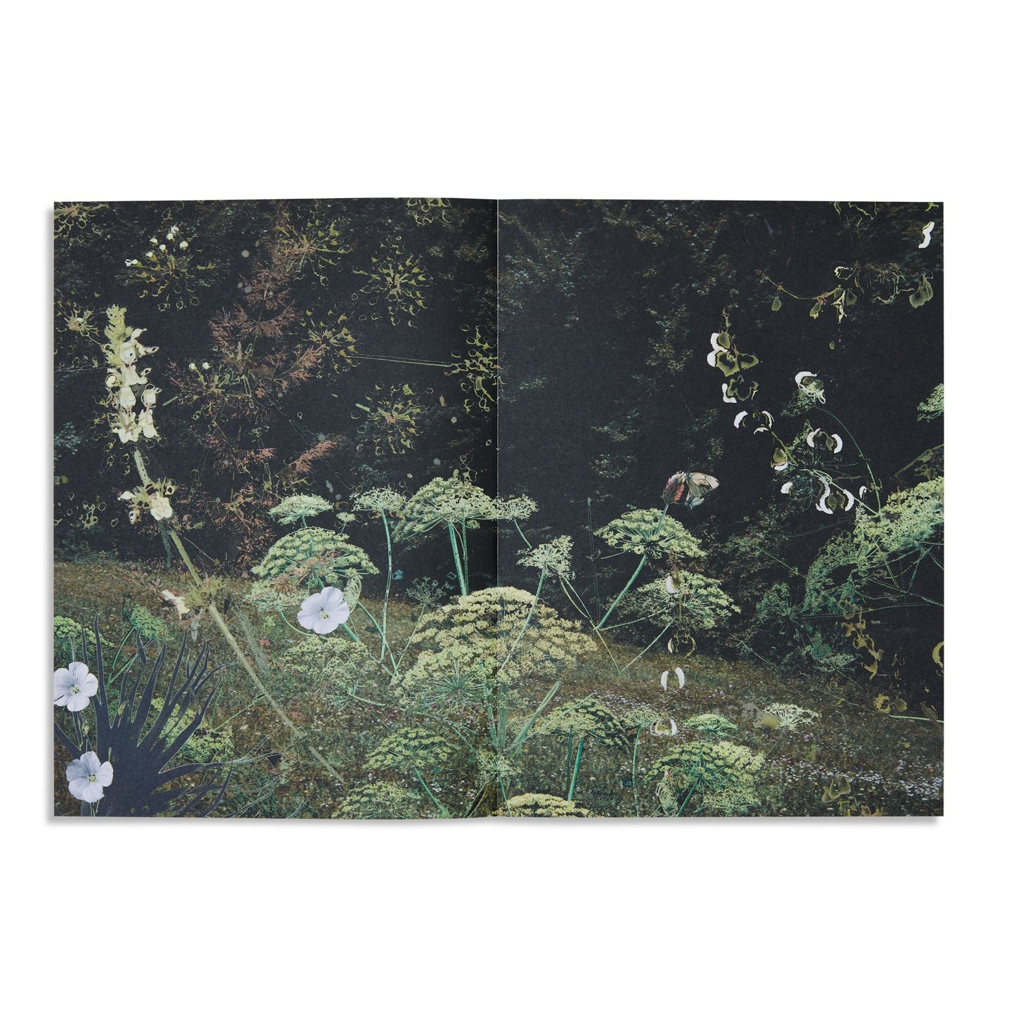OFF Magazine Issue 02 - US 7899